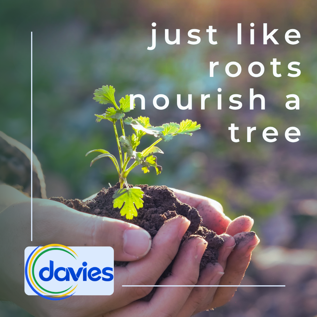 Davies Shelters social post